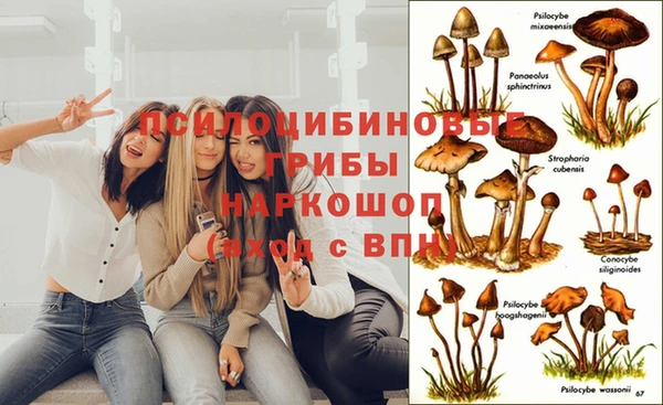 jwh Медвежьегорск