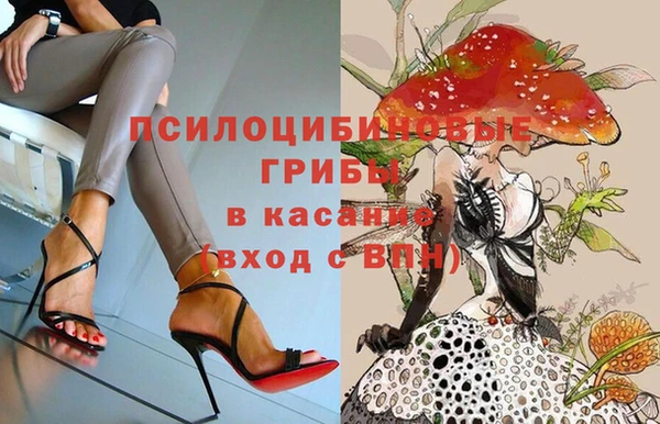 дмт Мегион
