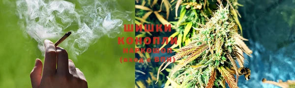 дмт Мегион